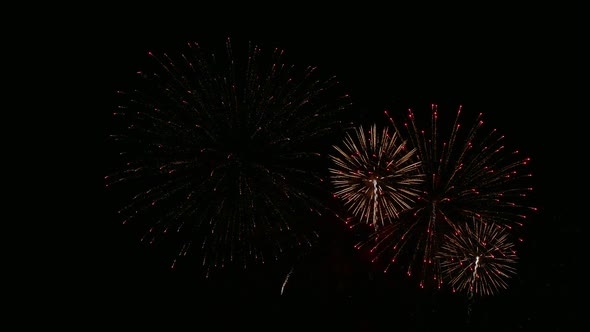 Colorful Firework display at night on sky background