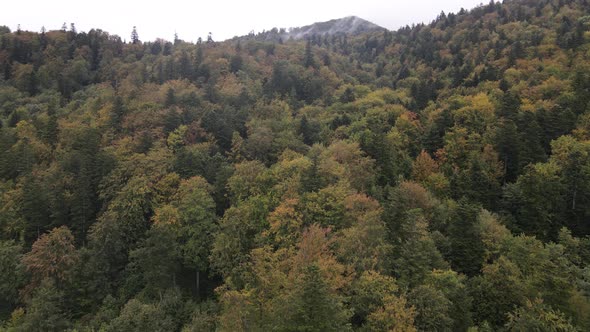 Aerial View of the Carpathian Mountains in Autumn