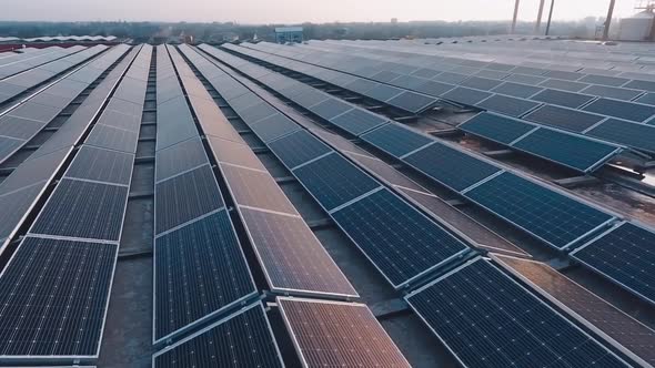 Sunny reflection on solar cells at sunset. 