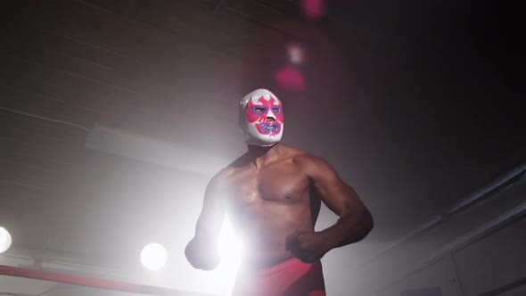 Masked wrestler in boxing ring