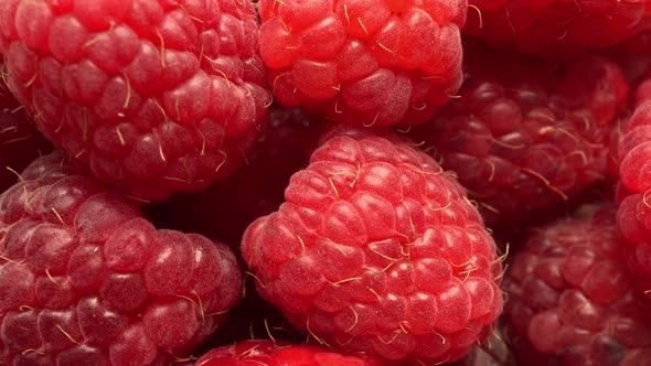 Macro Rotation Raspberry