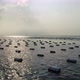 Footage of an oyster farm in cloudy day - VideoHive Item for Sale