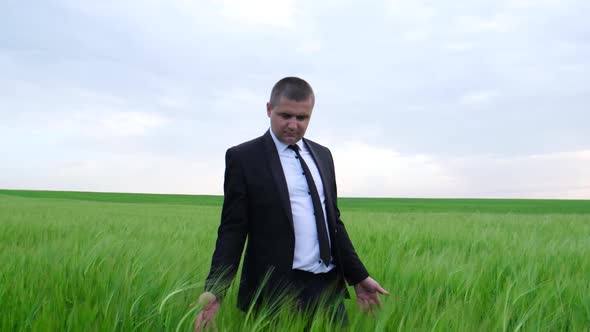 A farmer agronomist walks on a green field of wheat and checks the harvest.