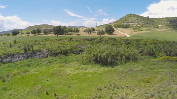 Endless Clear Blue Sky Stretching Above Rich Expanses of Cyprus Meadows