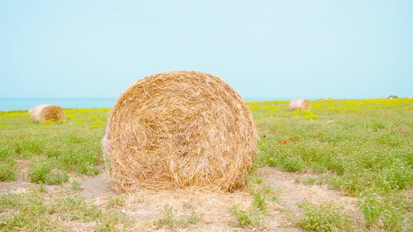 Haystack on the Green Field in Front of the Blue Sea