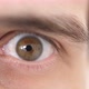 Closeup of a Surprised Emotional Man with Brown Eye Looking Into the Camera - VideoHive Item for Sale