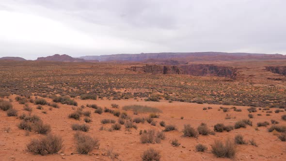 Desert With Red Orange Sand And Shrubs In The Western United States