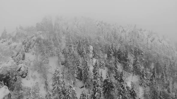 View From the Top To the River in a Mountain Gorge in Winter