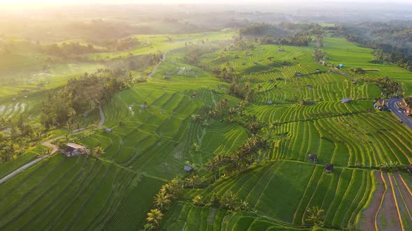 Jatiluwih Tabanan Bali Aerial View