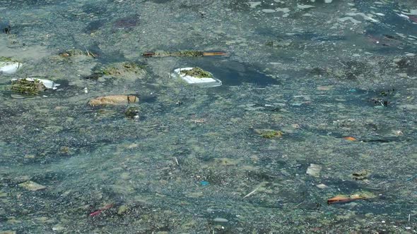 Sea Floating Garbage alt