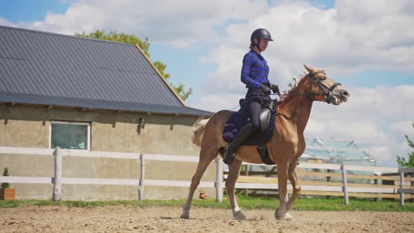 Female Jockey Wearing Safety Helmet Riding On A Beautiful Palomino Horse