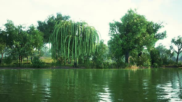 Scenic View of the Park in the Center of the Big City in the Summer