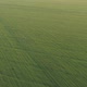 Green Fields - VideoHive Item for Sale