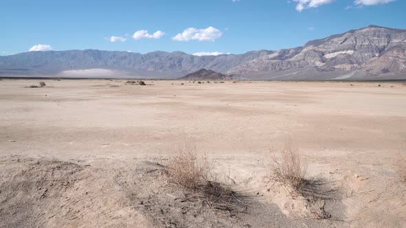 Death Valley in Mojave Desert, California with grasses and stones, Aerial dolly in shot