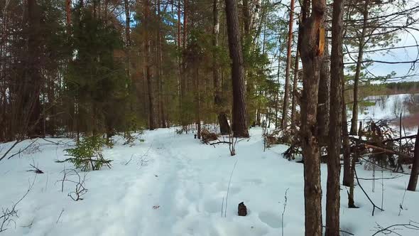 Winter, February, Quarry And River 32