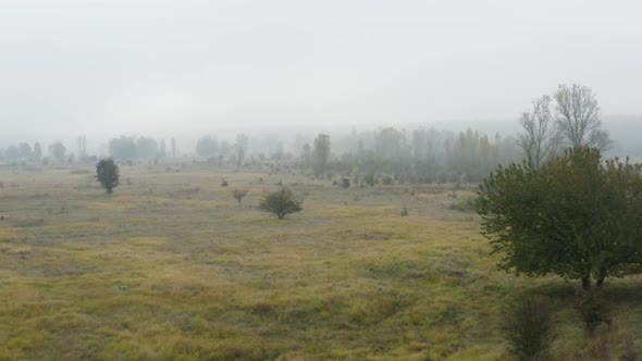 Grassy highland with bushes and trees in autumn,foggy, Czechia.