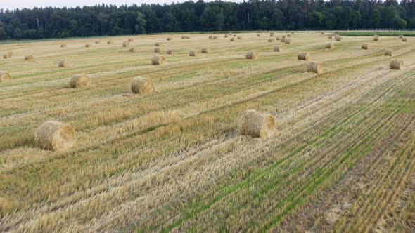 A Stack Of Hay