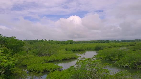 Drone shot of scenic view on Panama's nature environment, Boca Chica. Slow motion