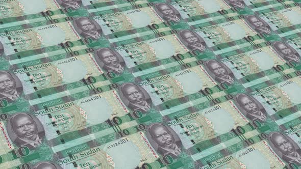 Sudan South Money /10 South Sudanese Pound 4K
