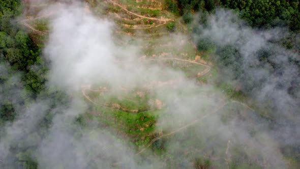 Aerial view terrace plantation covered by morning cloud