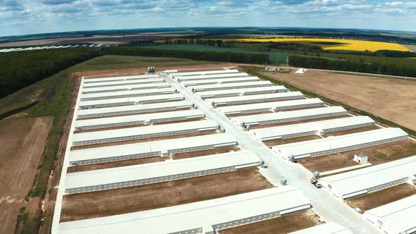 Innovative complex among nature. White roofs of a modern production plant on the field. 