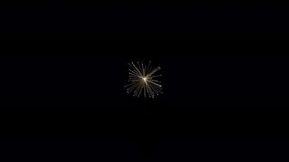 Firework Bursts with Alpha 4K