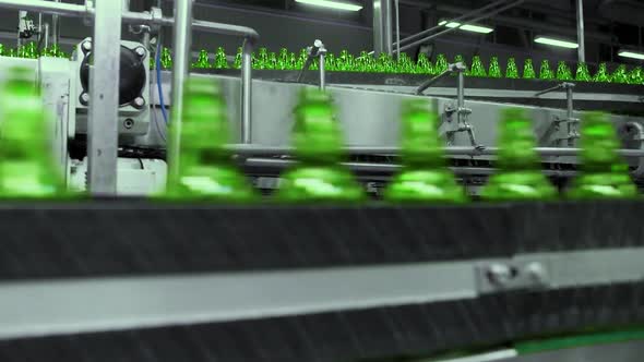 line for filling beer in a brewery. Empty green glass bottles moving on a conveyor belt in a queue a