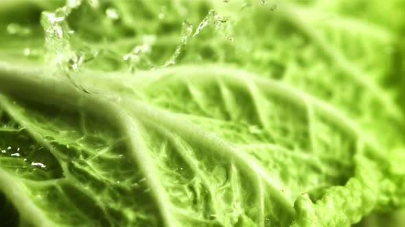 Drops of Water Fall on a Leaf of Beijing Cabbage