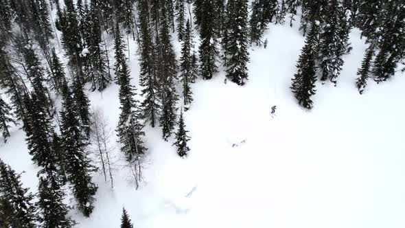 The Skier Leaves the Forest on the Slope of the Hill