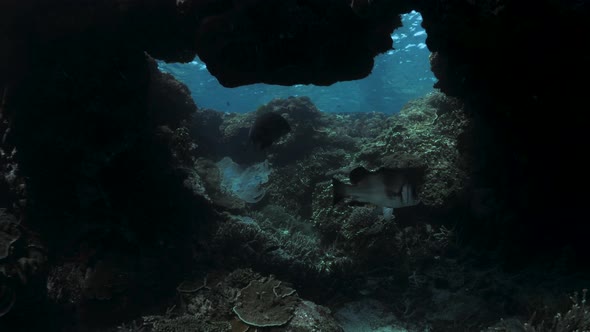Underwater view swimming through a natural coral reef hole below the blue ocean surface. Lady Elliot
