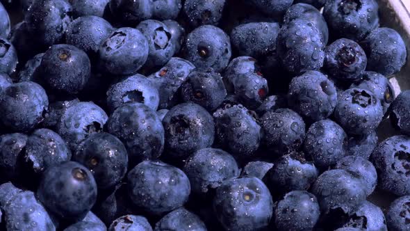 Fresh Blueberries Background Rotating in Slow Motion