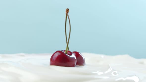 Two Cherries on a Twig in White Cream