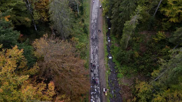 Autumn Hiking Trail Overhead Forest in Mountains