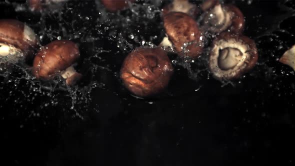 Super Slow Motion Mushrooms Fall on the Water with Splashes