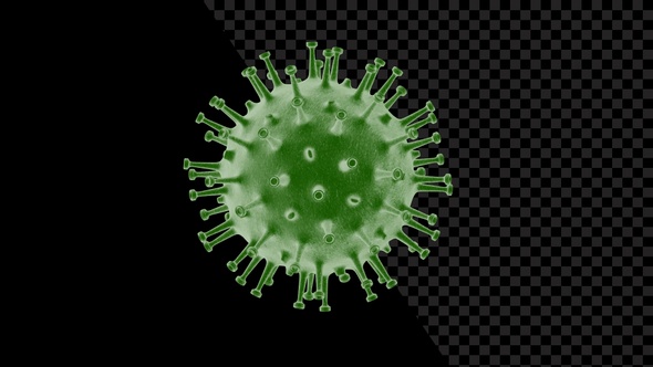 Coronavirus Visualization Covid 19 V13