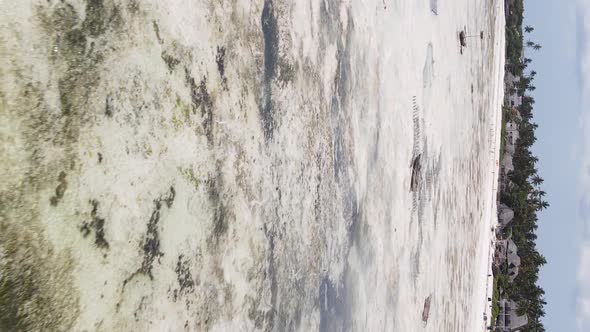 Vertical Video of Low Tide in the Ocean Near the Coast of Zanzibar Tanzania Aerial View