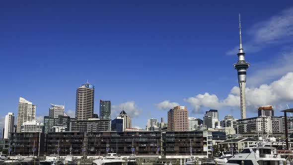 Auckland rich city centre