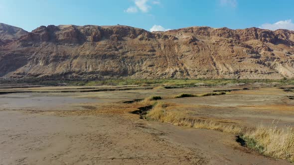 Deadsea desert green after the rains, fly over, red mountain background