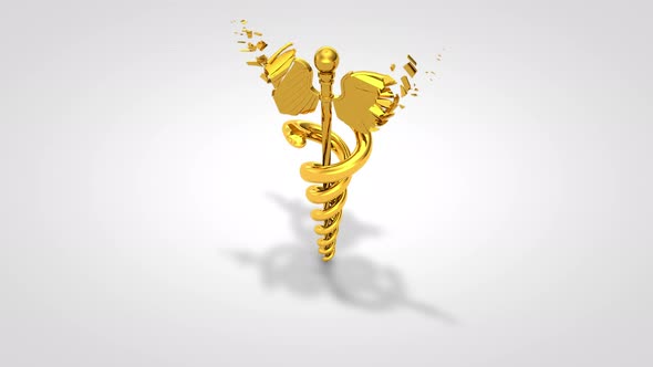 Golden Caduceus Transforming into Frame