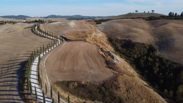 Cypress Road and Rolling Hills in Tuscany Aerial View