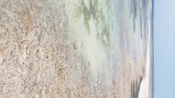 Vertical Video of Low Tide in the Ocean Near the Coast of Zanzibar Tanzania Aerial View