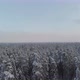 Drone footage snow covered trees. Blue sky - VideoHive Item for Sale