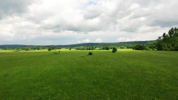 Green Plains in Slovenia Revealing Grass Fields and Trees