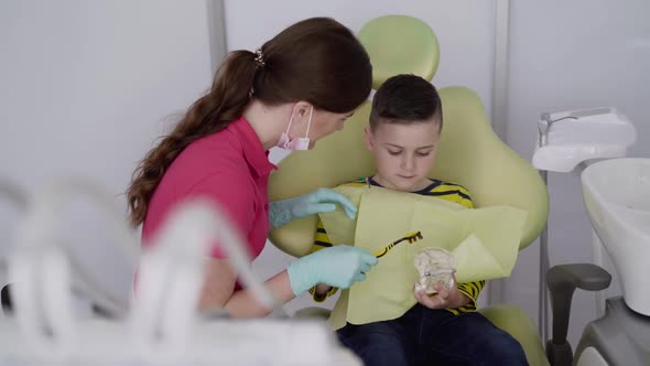 Dentist Shows a Child How to Care Brush Teeth Using a Toothbrush and Jaw Layout