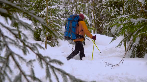 Backpacker Hiking in Winter Forest