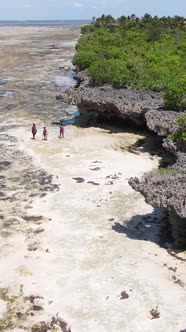 Vertical Video of the Ocean Near the Coast of Zanzibar Tanzania