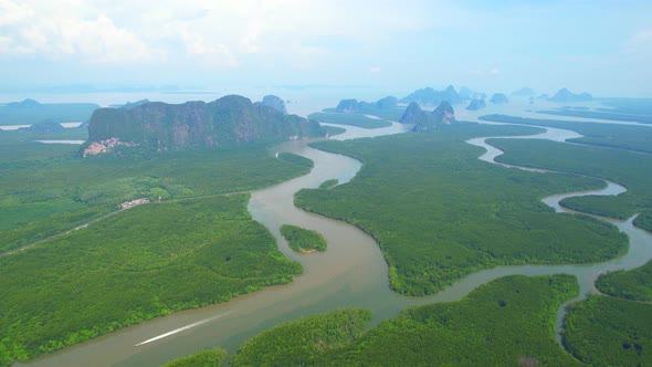 Drone flying over forests, mangroves and beautiful river.