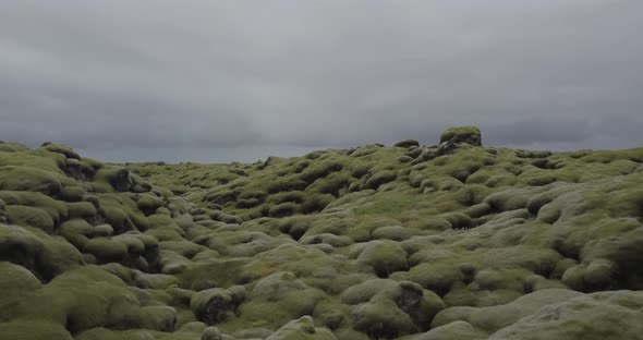 Aerial view of low-lying vegetation in southern Iceland.