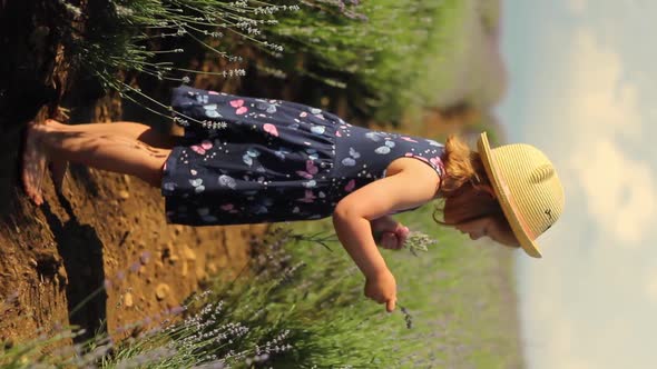 Little Girl Collects a Bouquet of Lavender Flowers at the Field