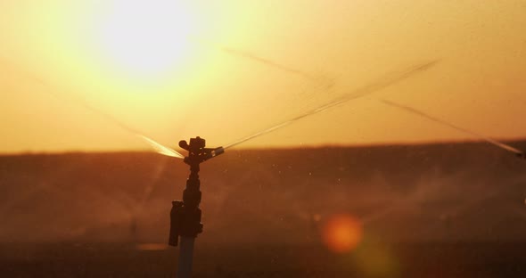 Irrigation Sprinklers In The Field. Watering The Fields At Sunset Close Up 